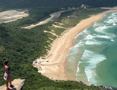 Florianópolis, Brazil: The Ultimate Travel Guide